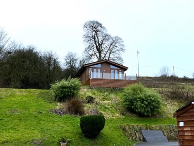 Picture 17